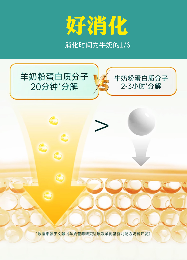 发酵型乳酸菌