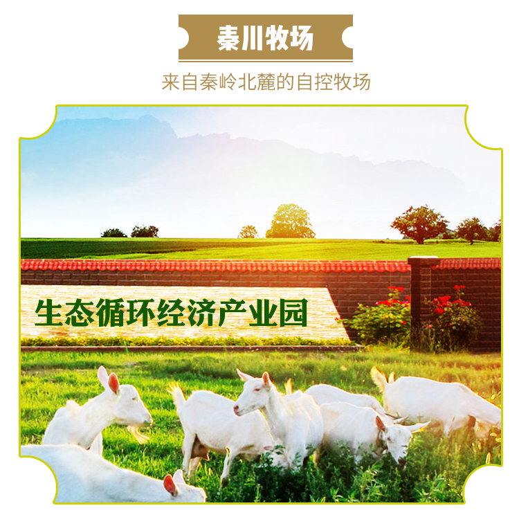 潘辰纯羊奶粉盒装
