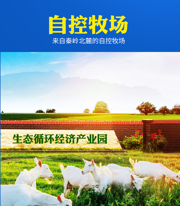 壳寡糖乳酪杆菌配方羊奶粉