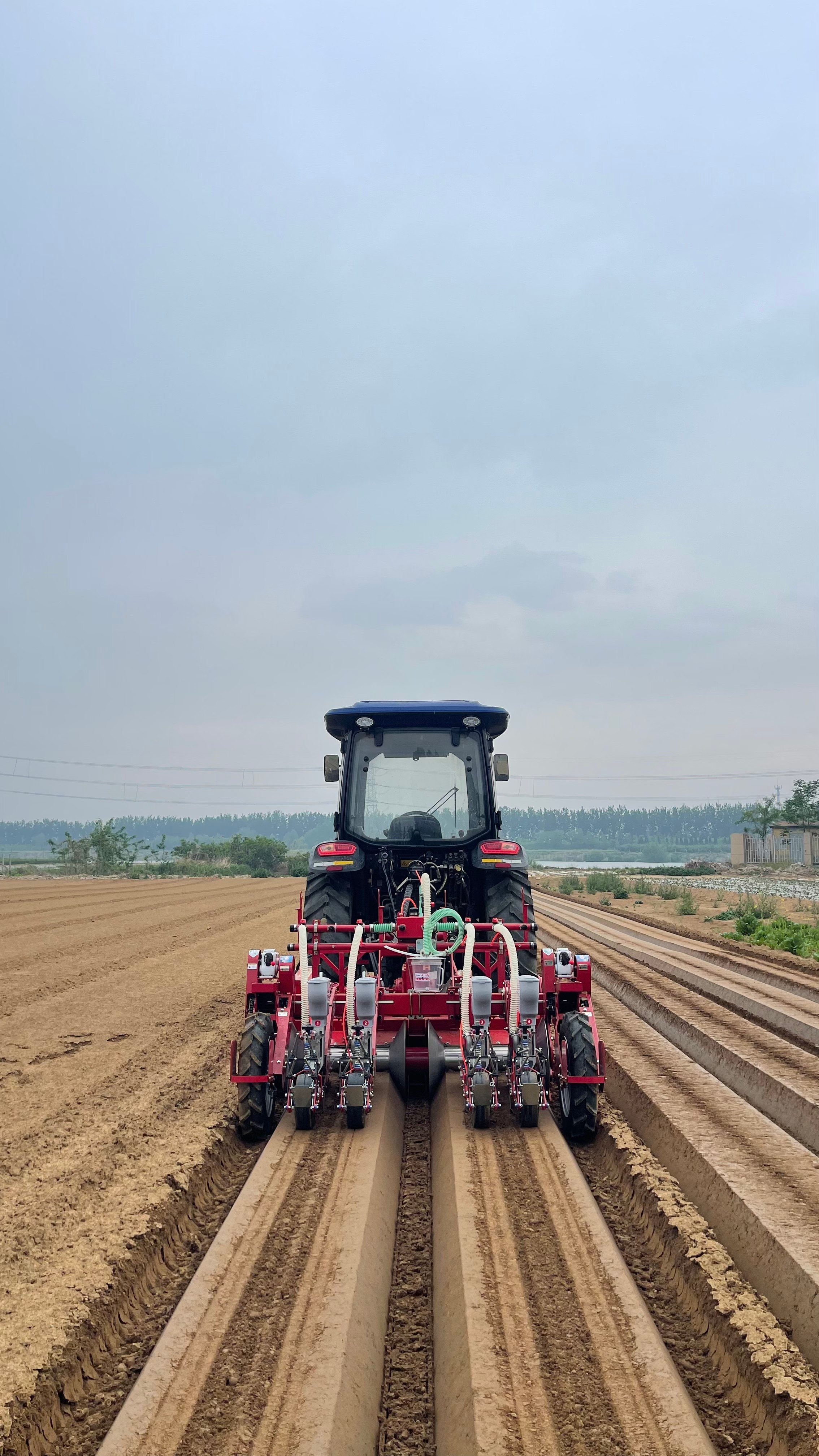 1752117026183460.jpg 白萝卜播种机