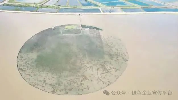 科技赋能生态治理　智慧守护绿水青山——雷克环境16年如一日坚持技术创新