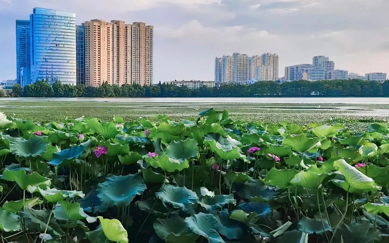 美麗河湖建設(shè)應(yīng)當(dāng)著力改善生境、恢復(fù)生態(tài)——雷克環(huán)境亮相中國(guó)環(huán)境科學(xué)學(xué)會(huì)2025科學(xué)技術(shù)年會(huì)