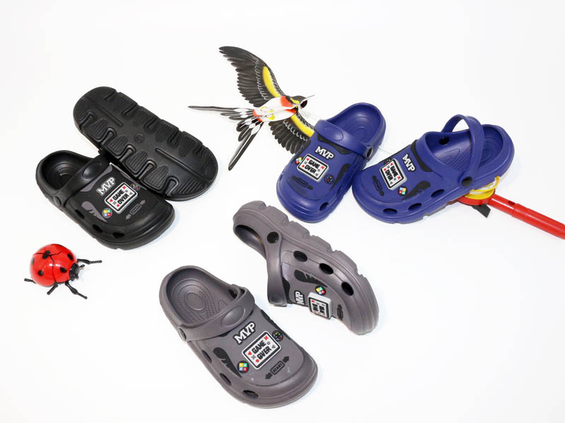 taiji shoes