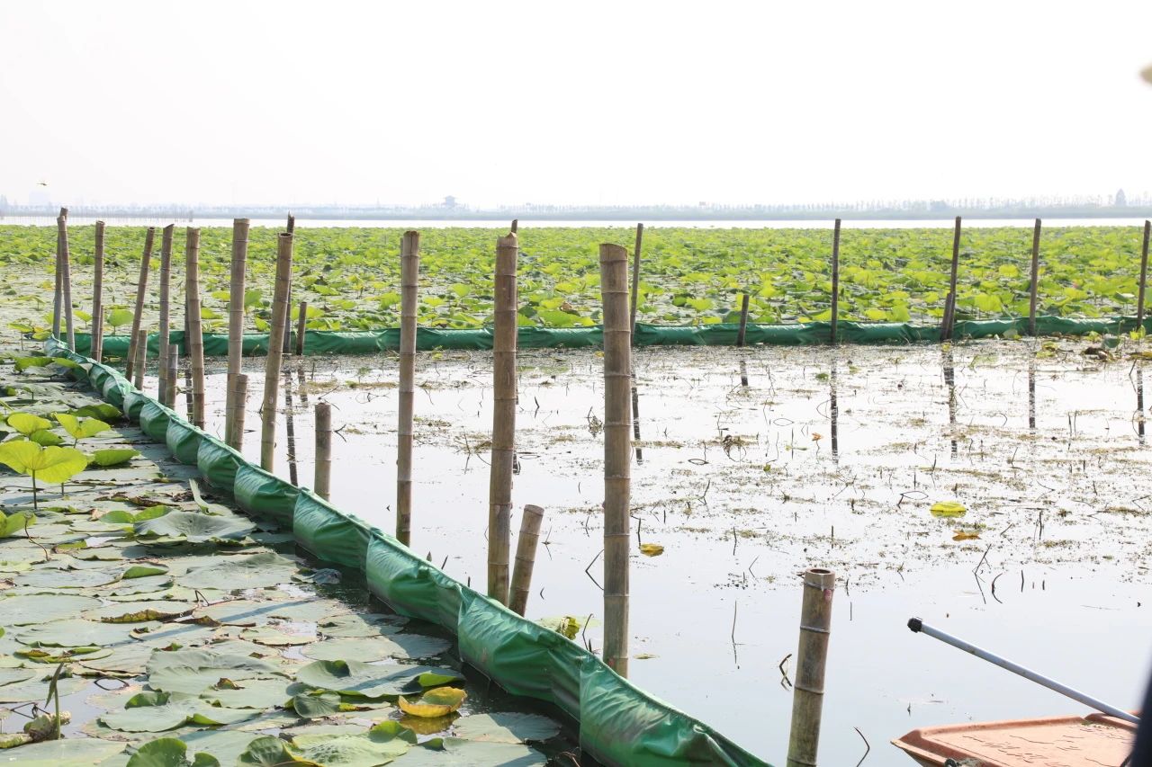 修复生境、恢复生态，助力建设美丽中国 ——《污染湿地底泥洗脱技术标准》通过专家审定