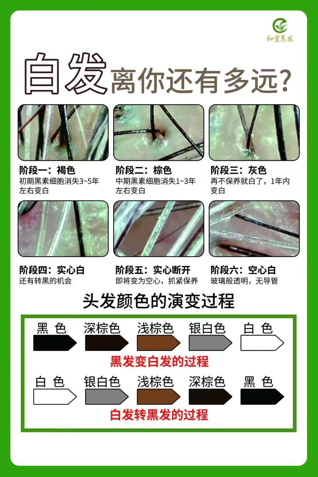 菜园