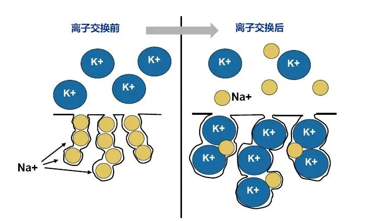 水处理