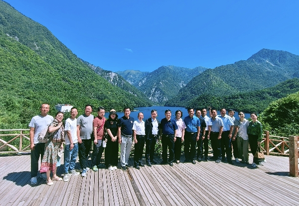 陕西培合文化艺术研究院