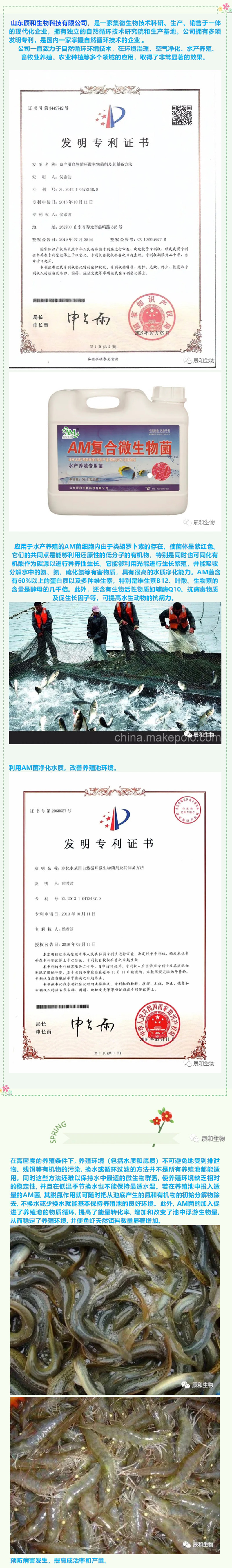 1755827654183323.jpg 辰和生物