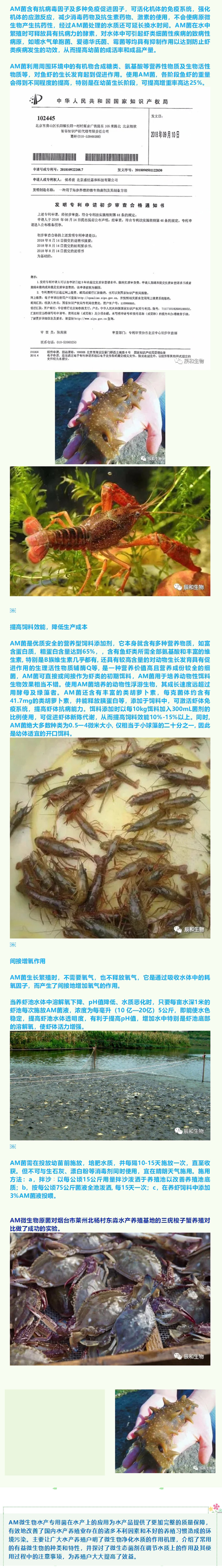 1755827660115934.jpg 辰和生物