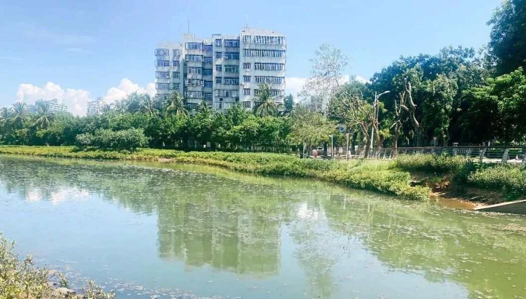 雷克环境中标海口市金牛湖应急清淤项目