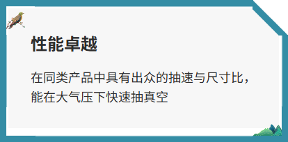 雙級油潤滑旋片真空泵