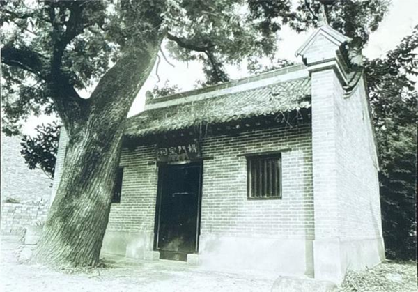 丝路国际传媒网