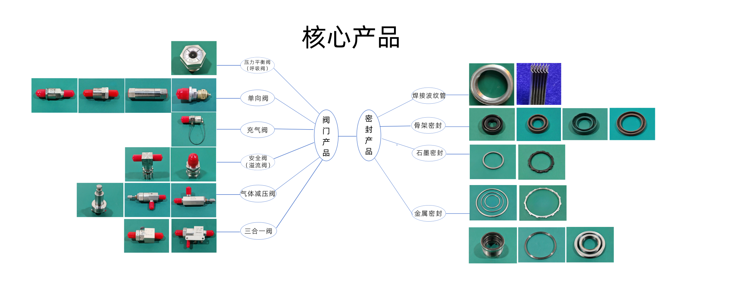 西安蓝鲸流体控制科技有限公司
