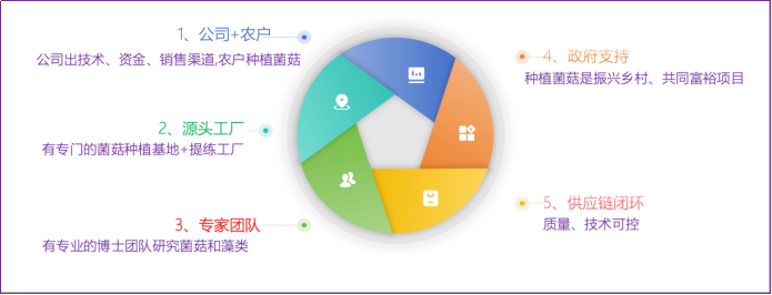 鲜之惠