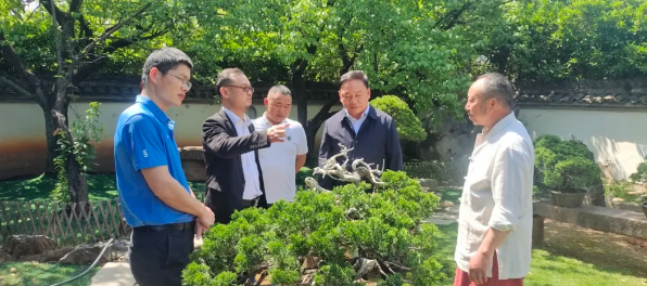 1757769462554219.png 湖南省商务服务中心二级巡视员邹和阳一行到访商会和商会成员企业