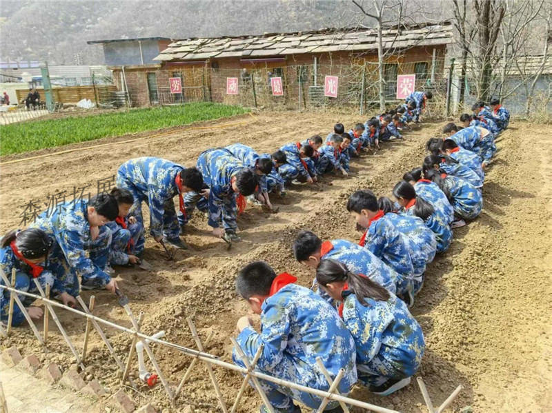 研学