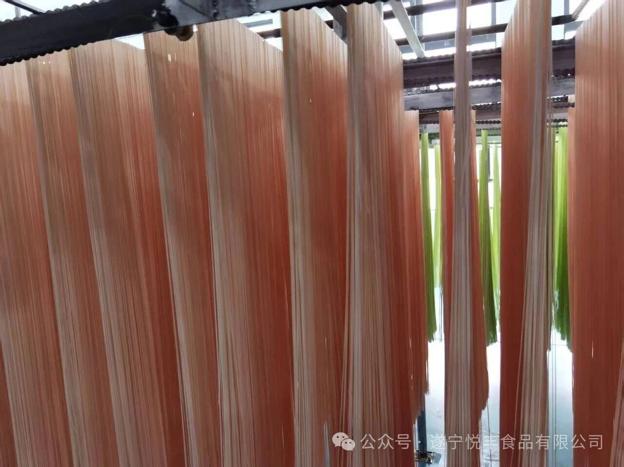 1758595169733877.jpg 鲜面