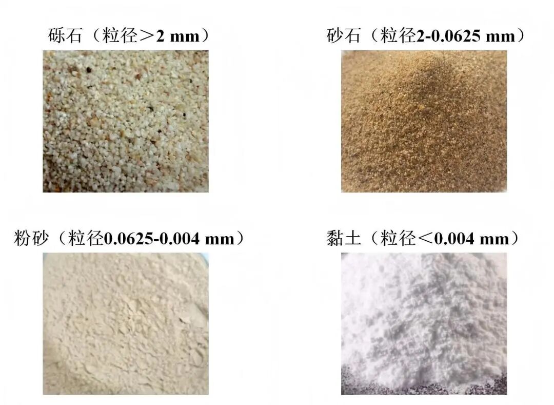 生态恢复必须着力提高水体透明度