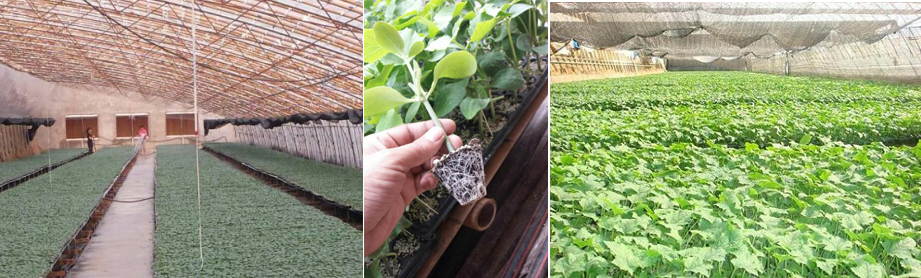 1758857110979063.jpg 1.jpg