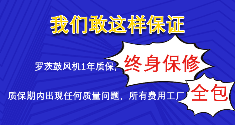 罗茨风机