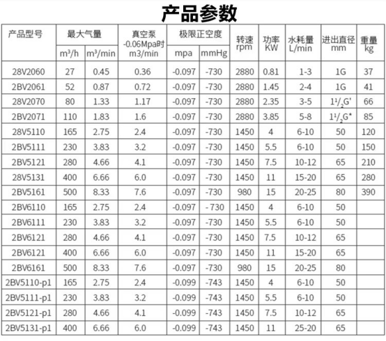 水环式真空泵