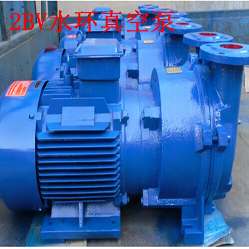 水環(huán)式真空泵