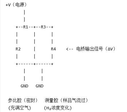 氢气含量分析仪原理图