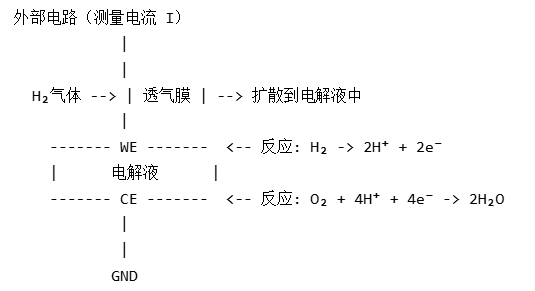 氢气含量分析仪原理图