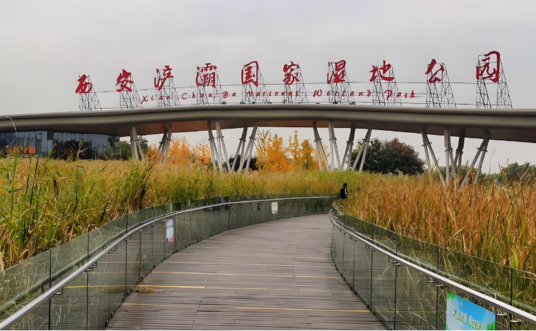 1760149277333465.png 陕西仪革安全技术有限公司