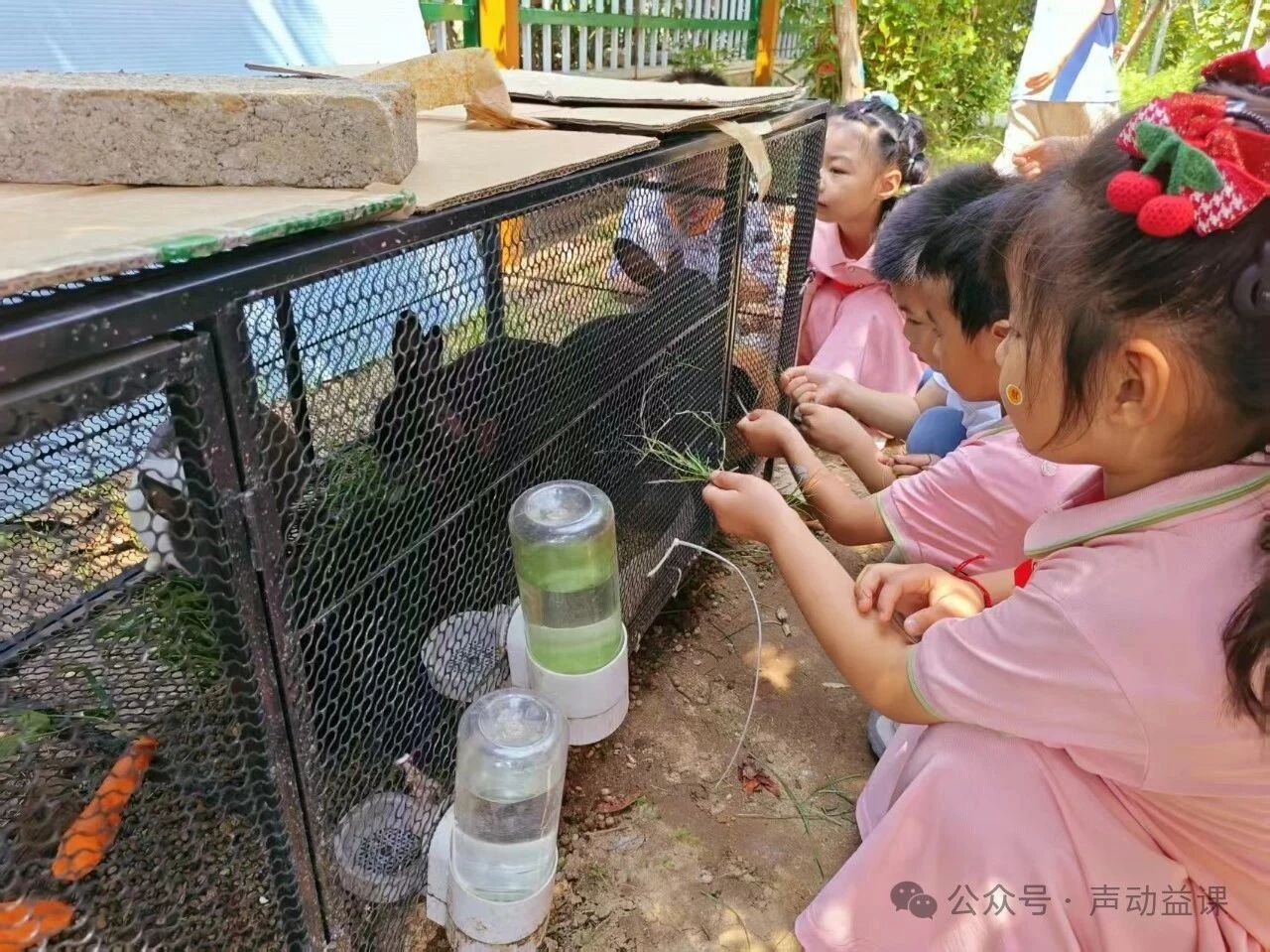1760368858940309.jpg 听障宝宝