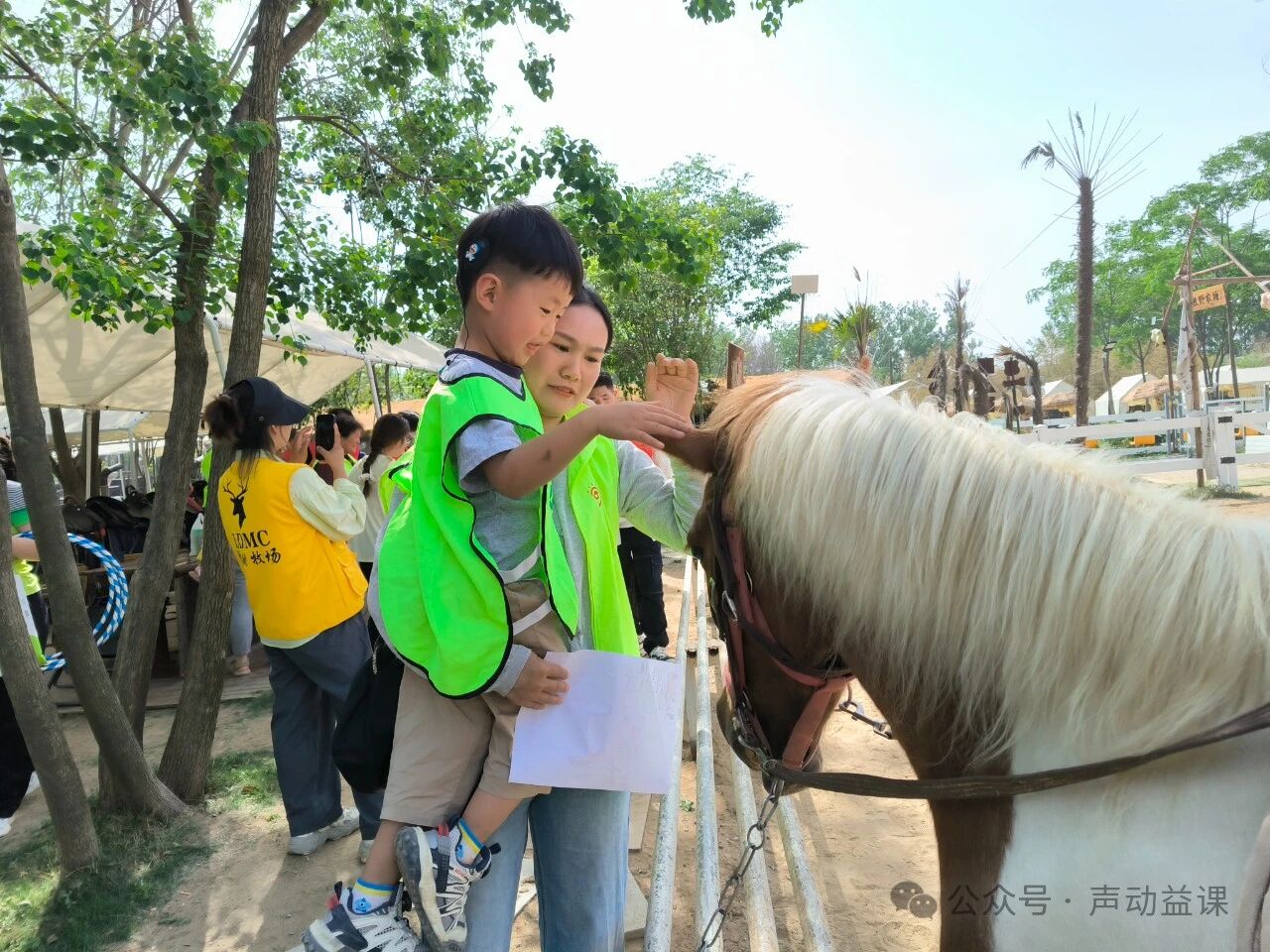 1760370337465048.jpeg 耳蜗宝宝