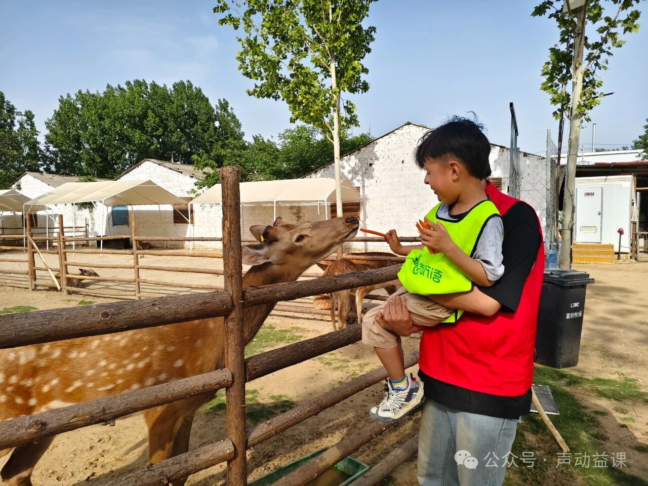 1760370466524552.jpeg 耳蜗宝宝