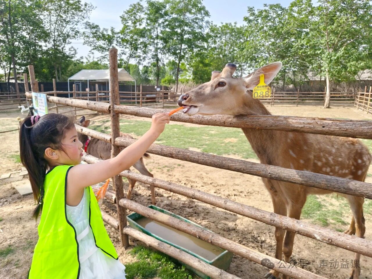 1760370477525609.jpeg 耳蜗宝宝