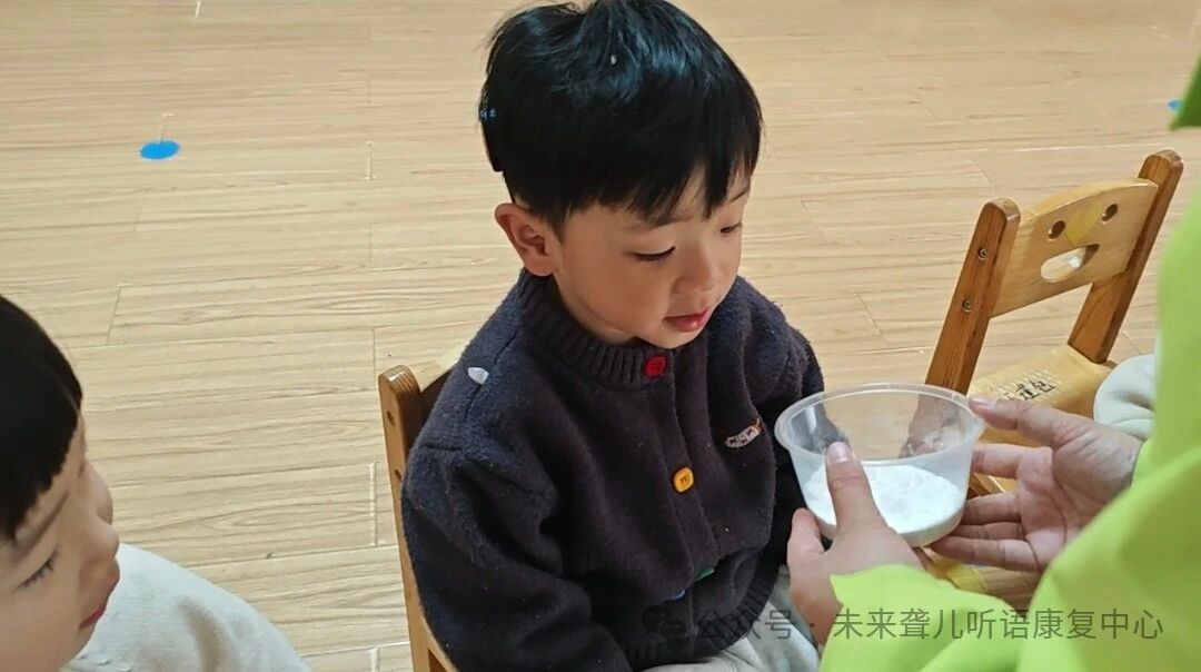 1760371014868093.jpg 耳蜗