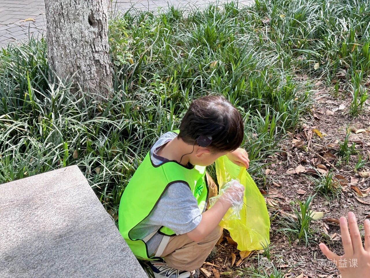 1760371046759313.jpeg 耳蜗