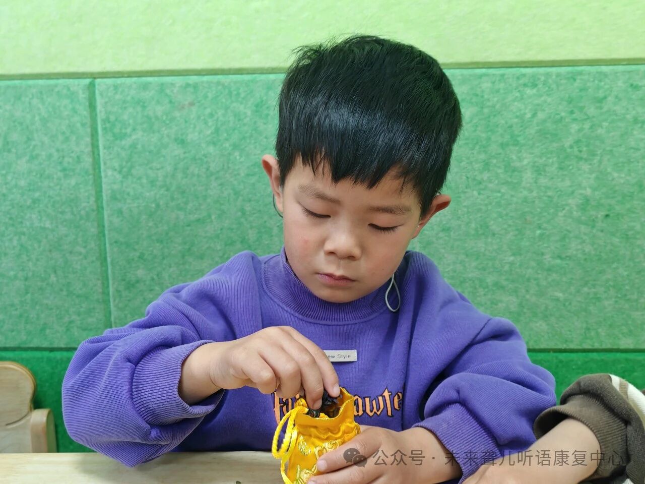 1760371087890579.jpg 耳蜗