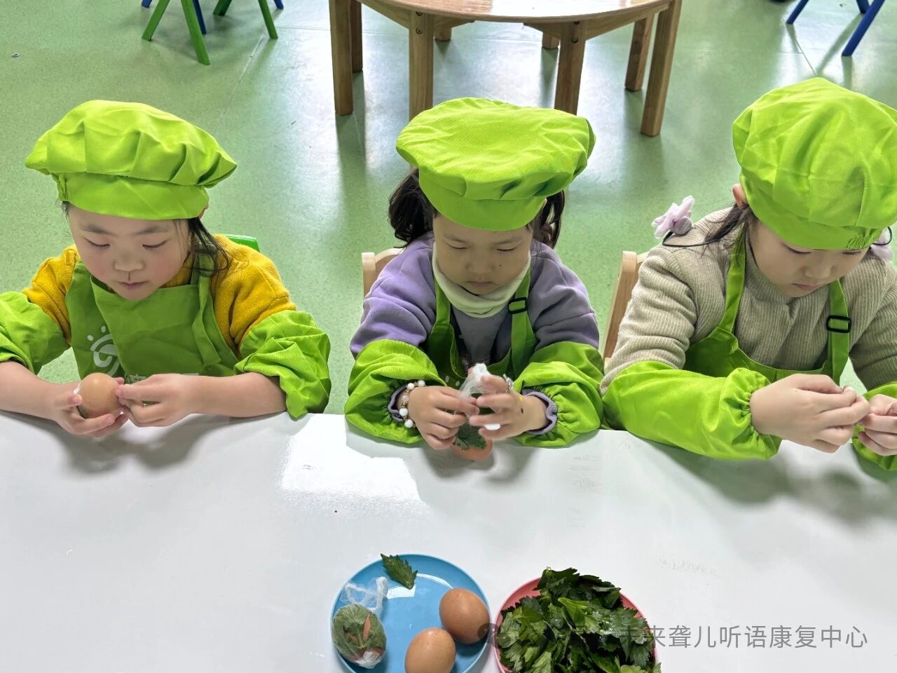 1760371141556558.jpg 耳蜗