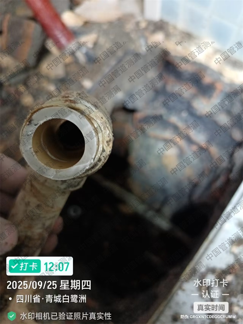 都江堰白鹭洲给水管漏水检测维修
