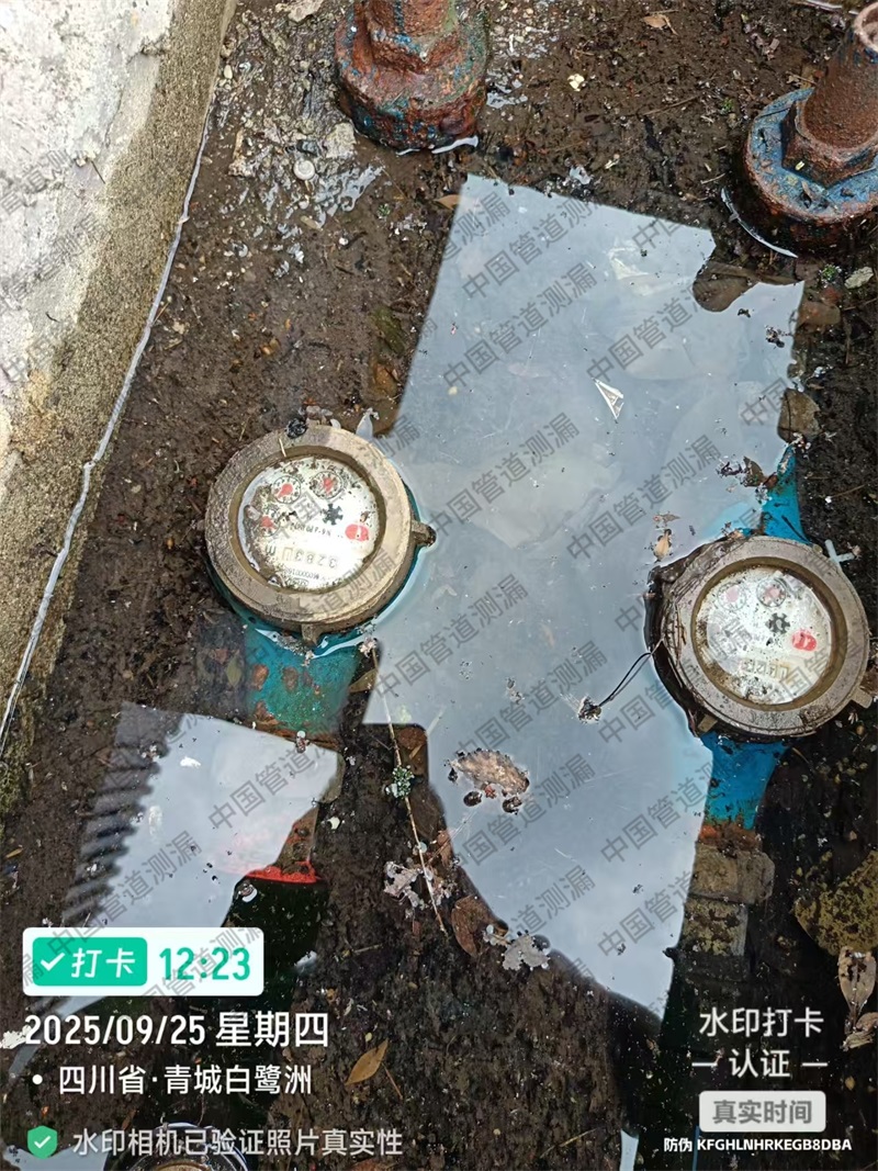 都江堰白鹭洲给水管漏水检测维修