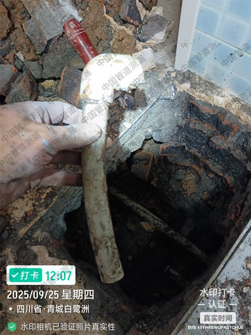 都江堰白鹭洲给水管漏水检测维修
