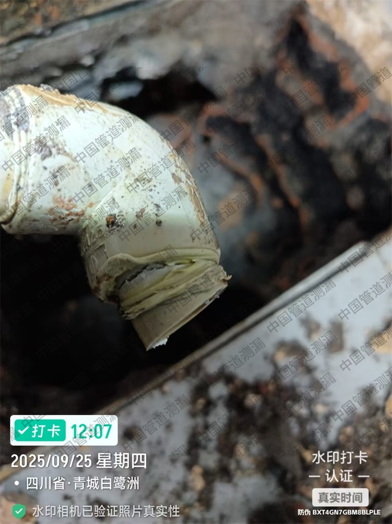 都江堰白鹭洲给水管漏水检测维修