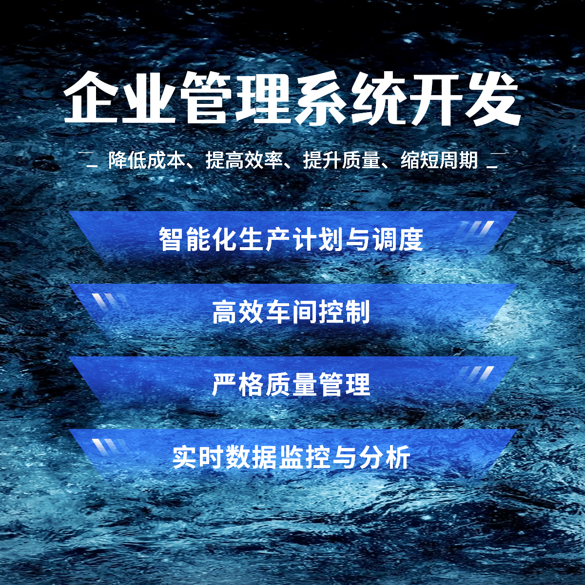 企业管理软件开发