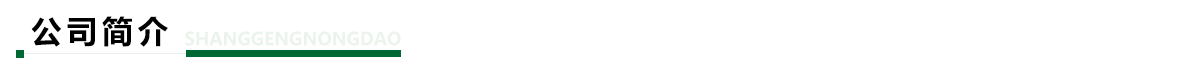 公司简介