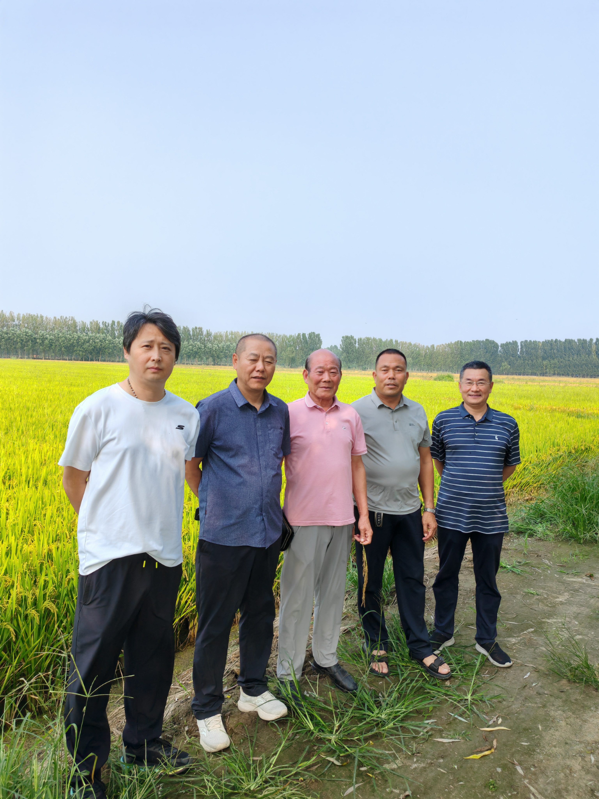 1760581086935858.jpg 食品安全报社主任,李楠俄罗斯回国博士一行人员种植基地参观考察