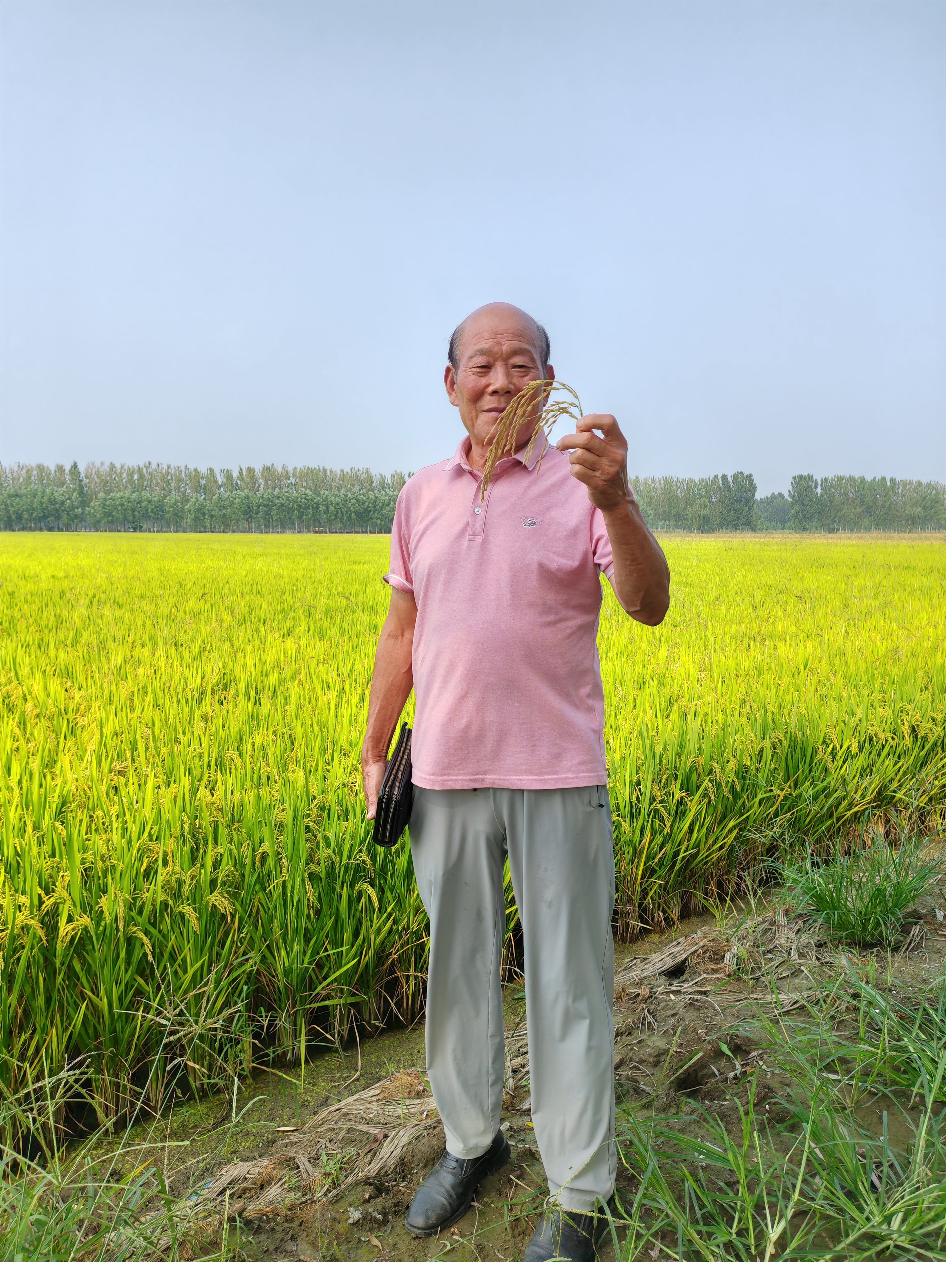 1760581089570922.jpg 食品安全报社主任,李楠俄罗斯回国博士一行人员种植基地参观考察