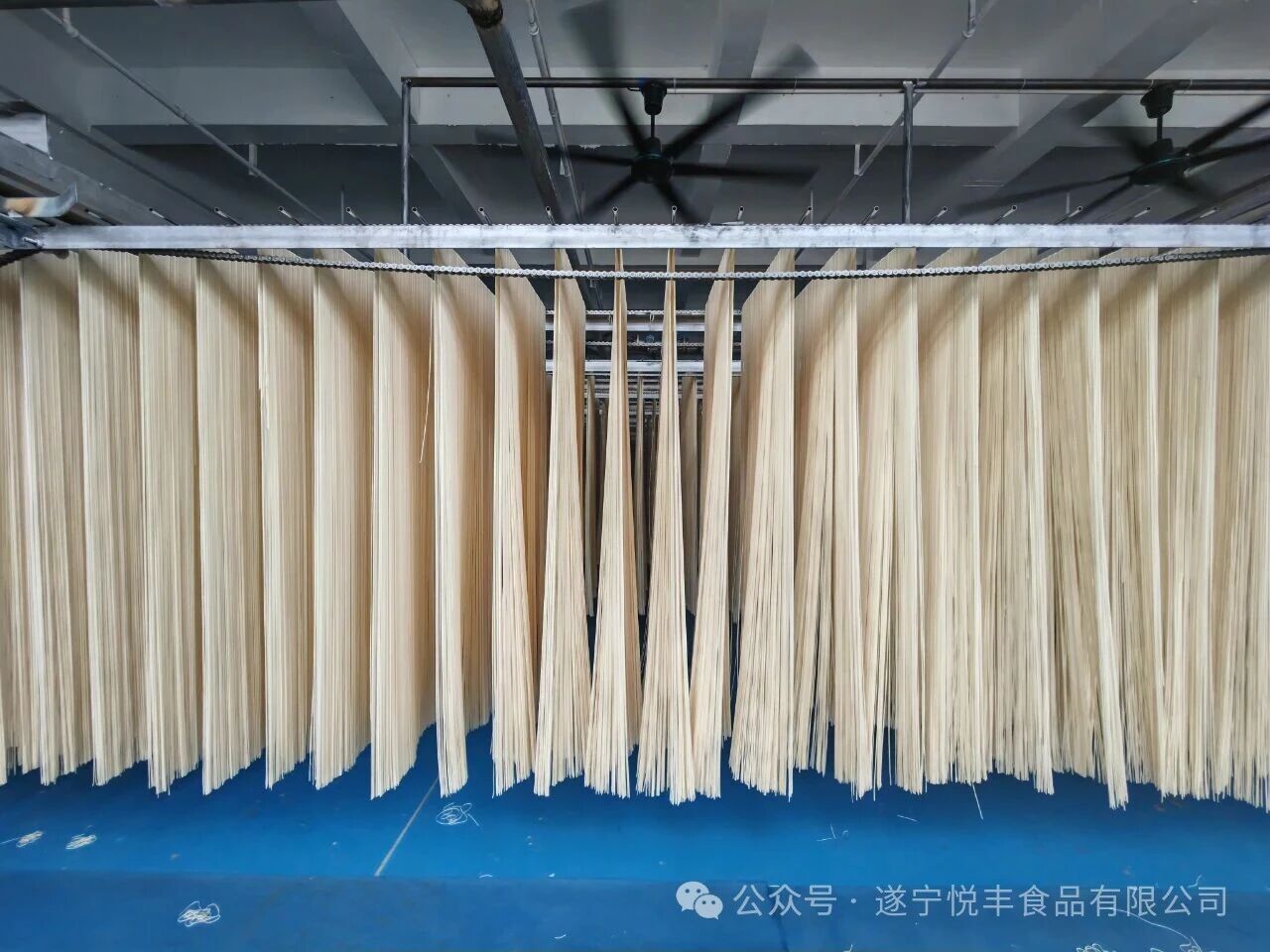 1760689802819857.jpg 挂面