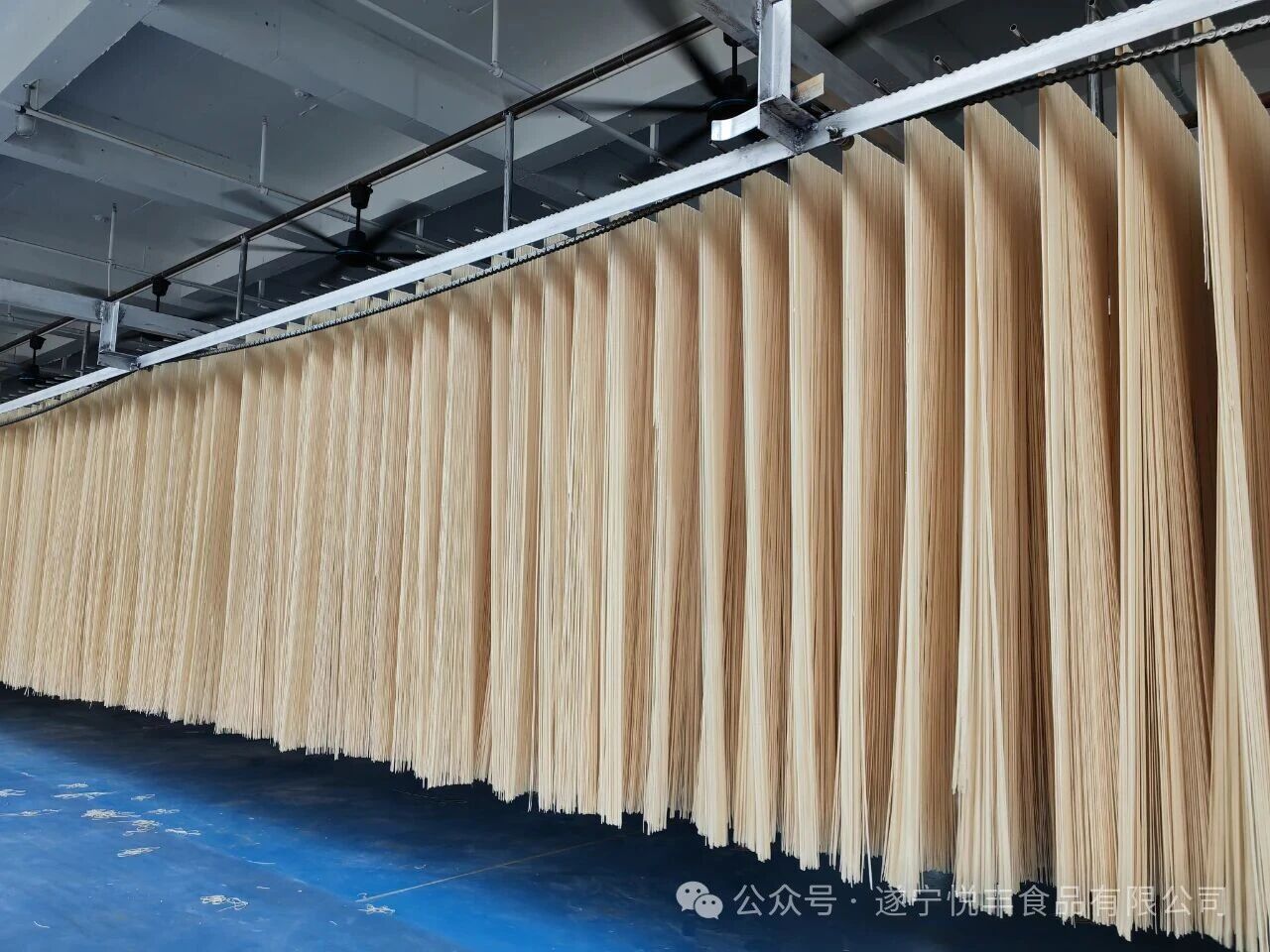 1760689885775496.jpg 挂面