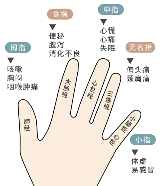 1761032008712040.png 中医