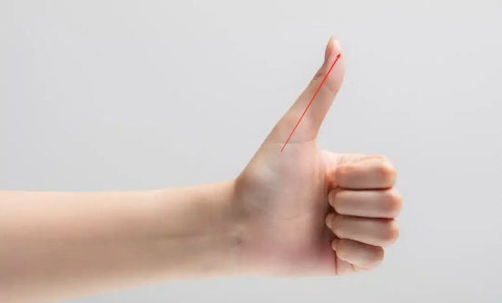 1761032031149091.png 中医