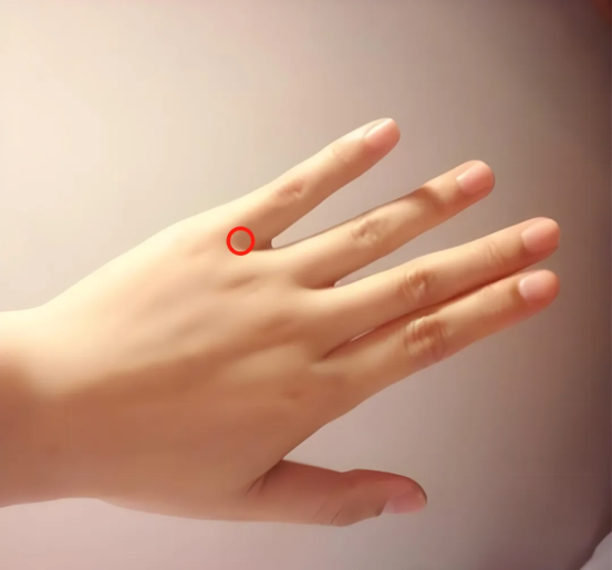 1761032324228005.png 中医